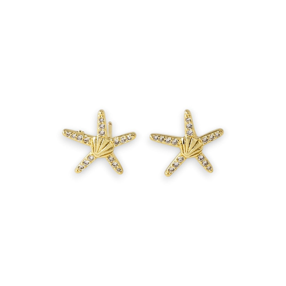 Starfish Stud Earrings