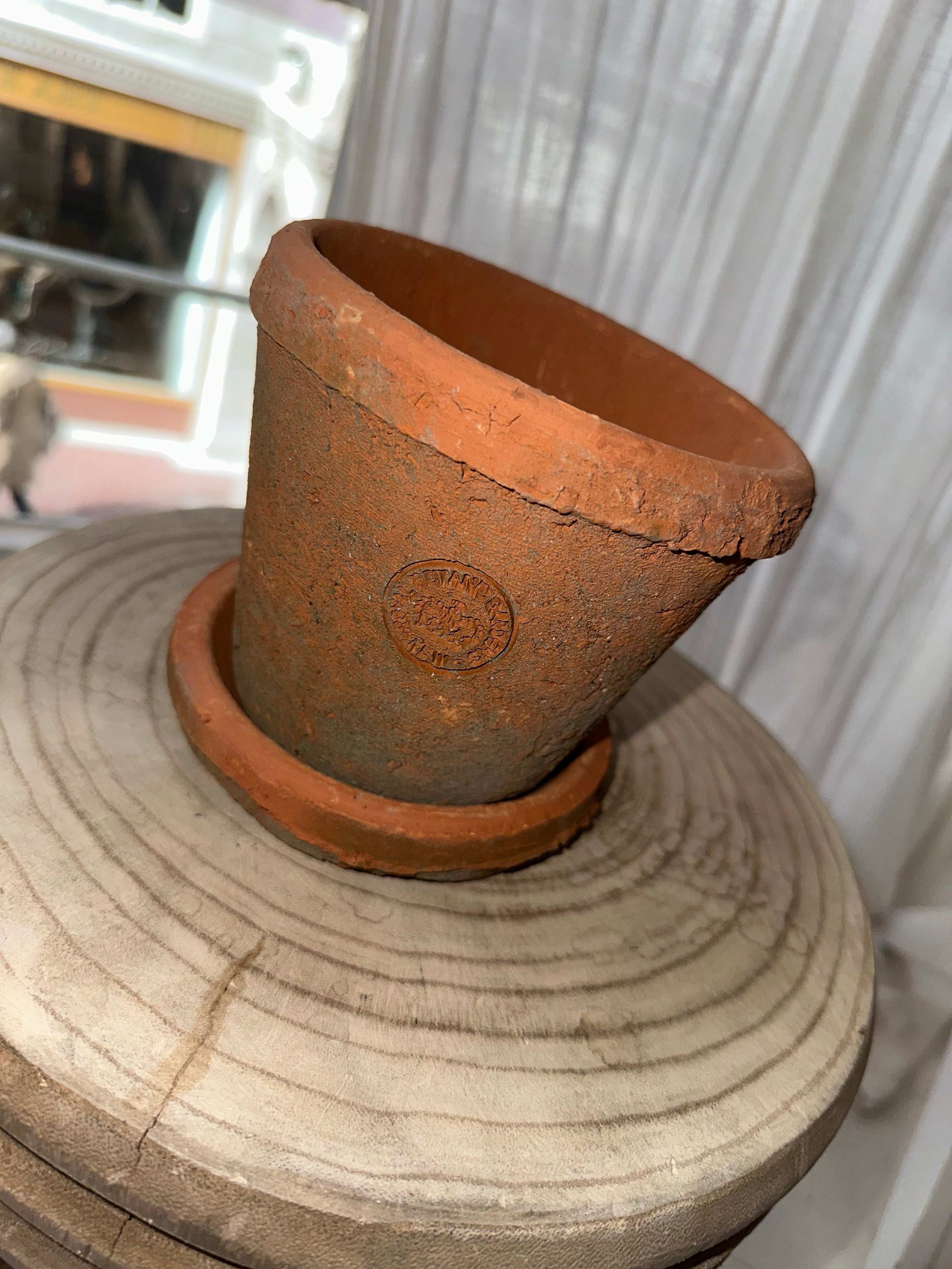 Kew Terracotta pot medium