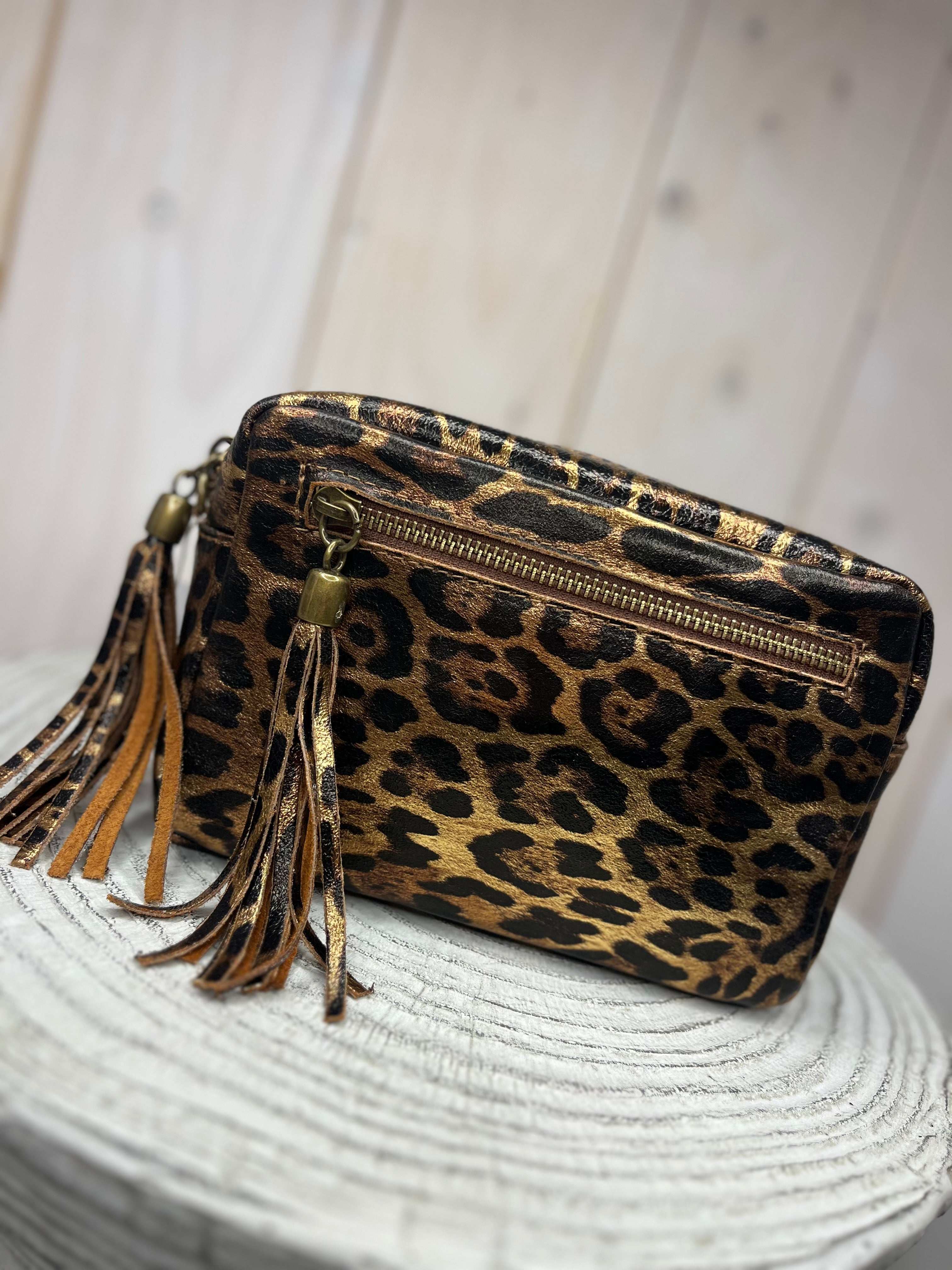Metallic Leather Camera Bag