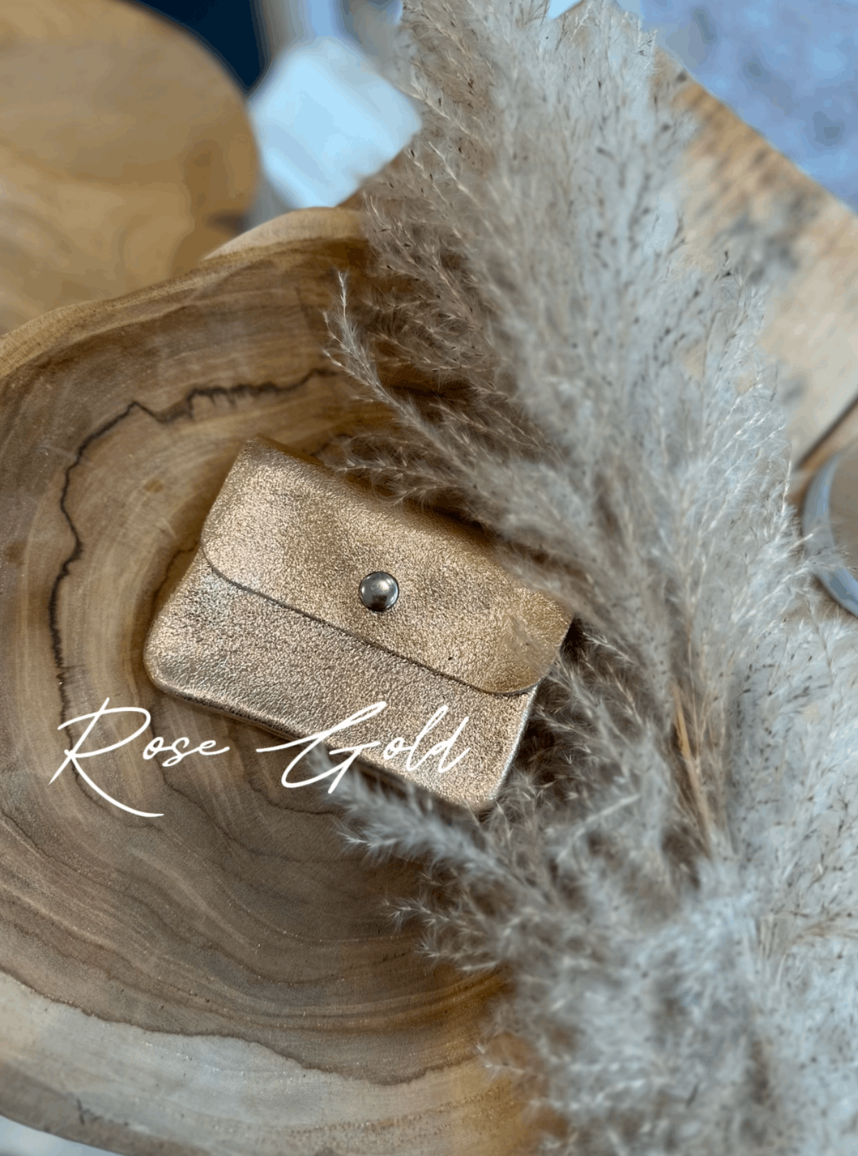 Metallic Mini Leather Coin Purse