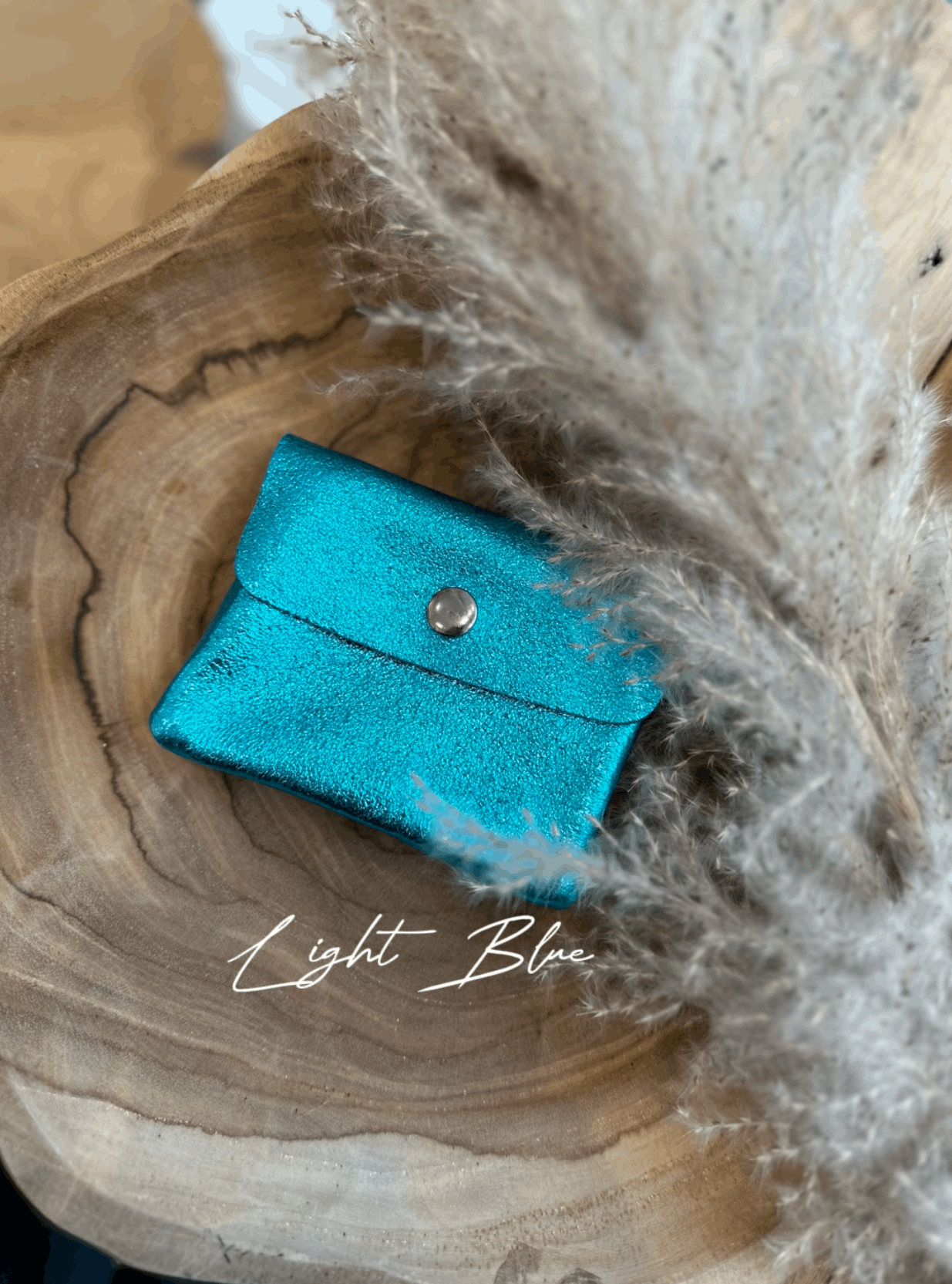 Metallic Mini Leather Coin Purse