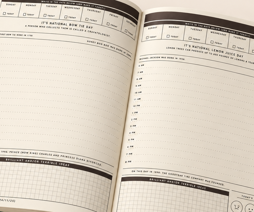 THESE ARE THE DAYS OF MY LIFE A DAILY PLANNER