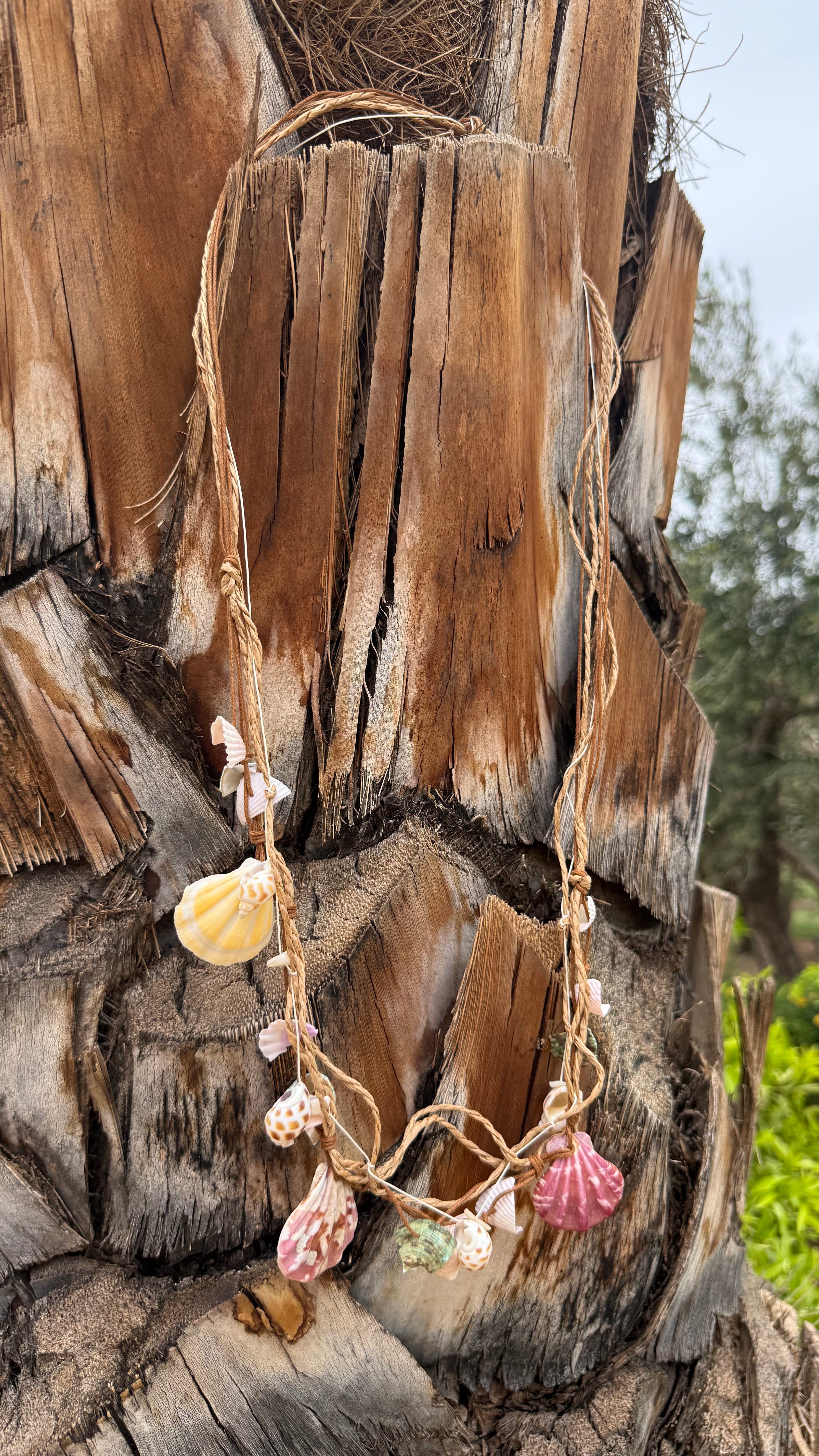 Atlantic Shell Necklace