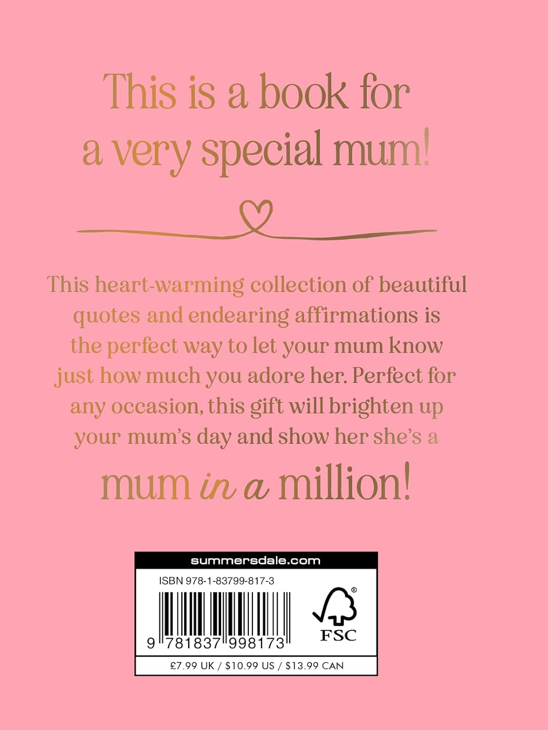 MUM IN A MILLION BOOK