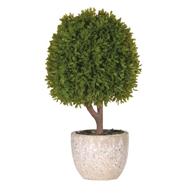 Green Miniature Boxwood Ball in Stone-look Pot