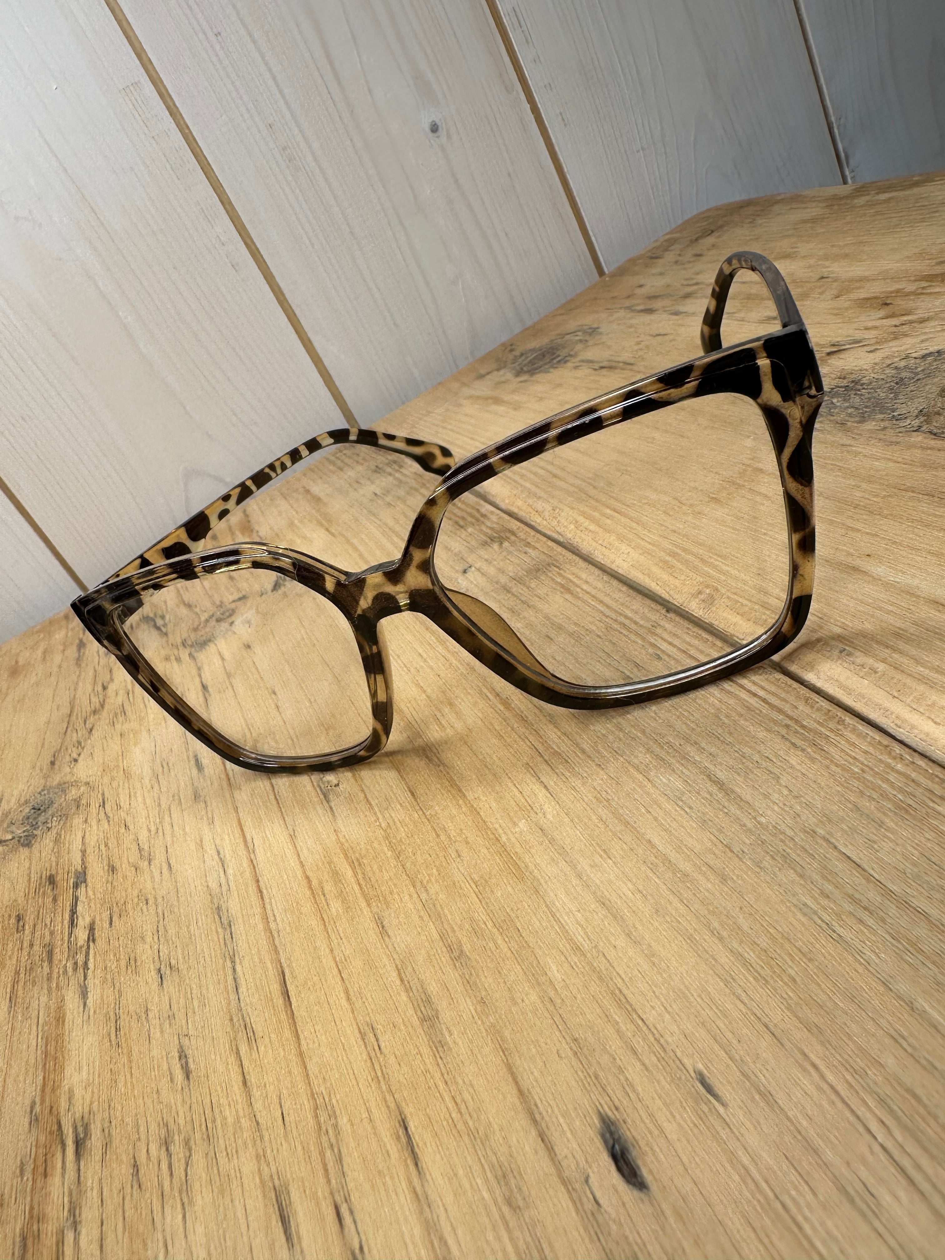 Thelma Fashion Glasses