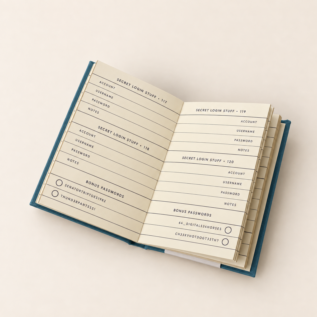 Tiny Passwords Book
