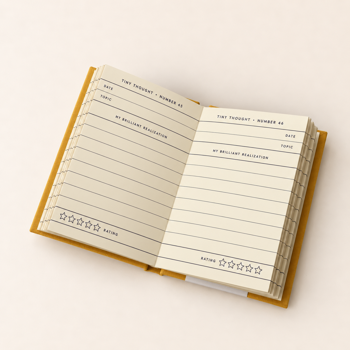 Tiny Thoughts Book
