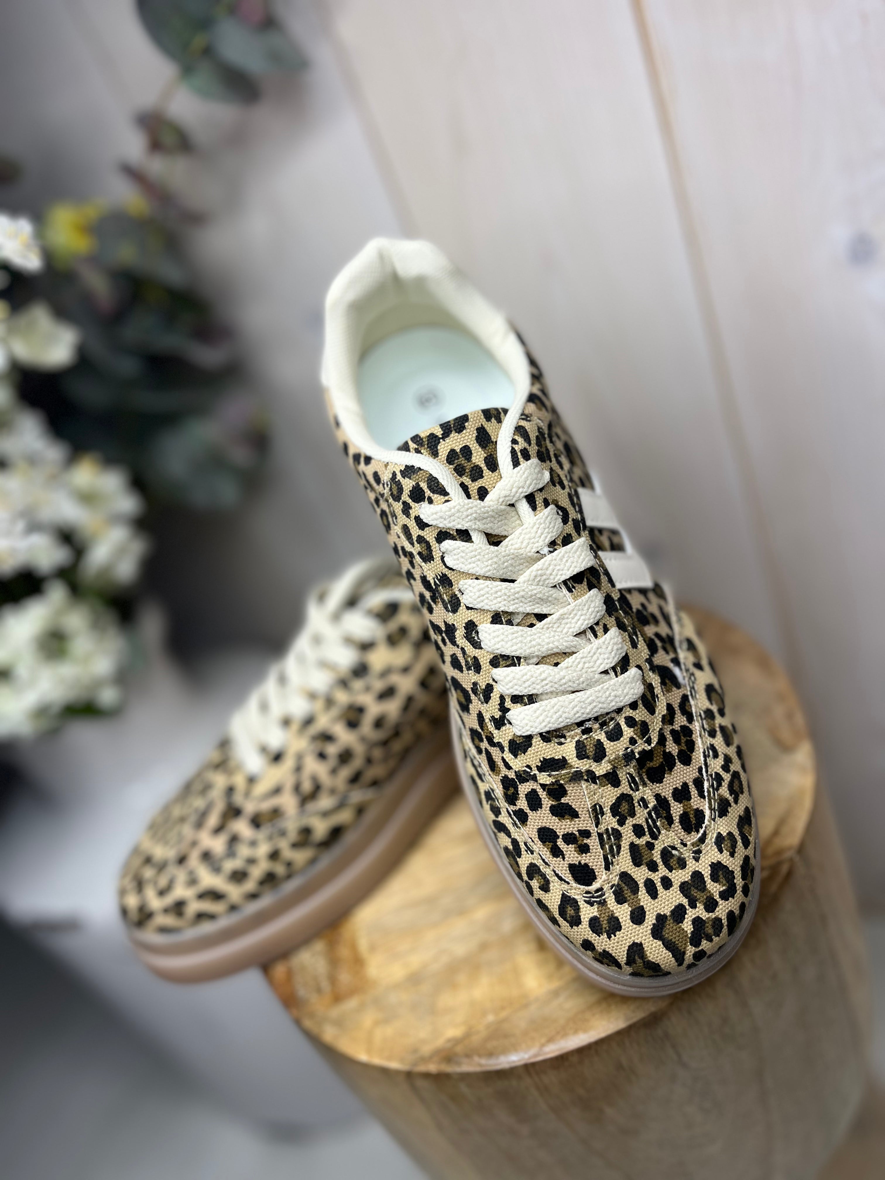 Leo Leopard Trainer