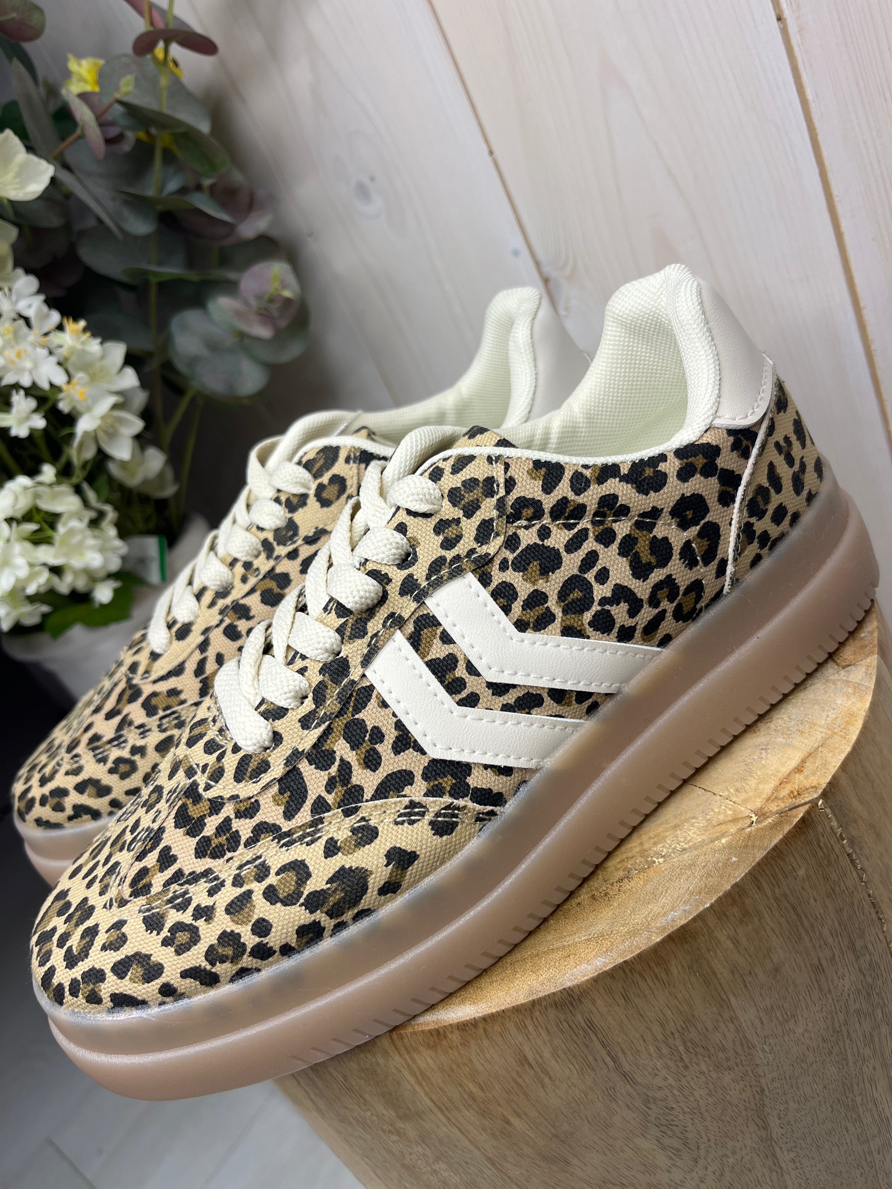 Leo Leopard Trainer